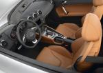 Audi TT Roadster 2007 года (WW)